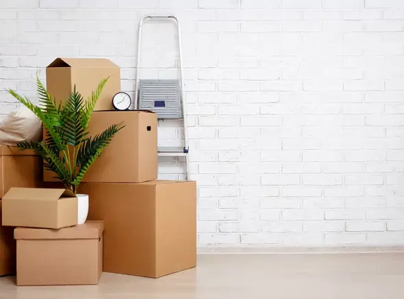 FINE ART REMOVALS